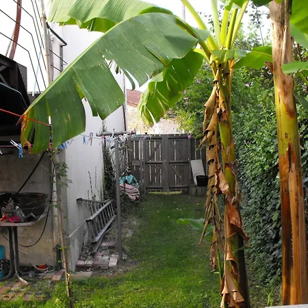 Maison De Terrasse Piscine Jardin Niort