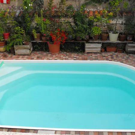 Maison De Terrasse Piscine Jardin Villa Niort