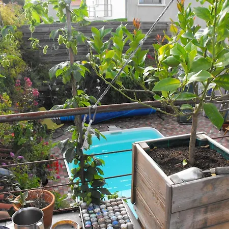 Maison De Terrasse Piscine Jardin *