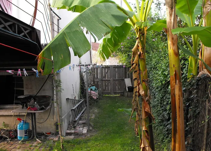 Maison De Terrasse Piscine Jardin 니오르